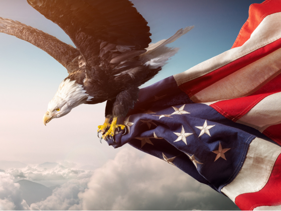 Freedom Law Firm