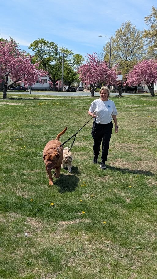 Traceys Dog Walkng