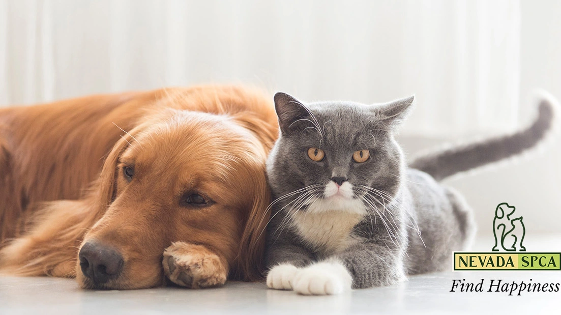Nevada SPCA